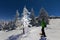 Snowy Christmas landscape. Moonlight night. Winter forest in snow. Full moon and starry sky.