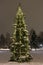 Snowy Christmas tree