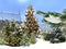 Snowy Christmas tree  on  festive city marketplace fluffy snowflakes   no  tree branch with red blue green ball and gold confetti