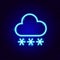 Snowy Cloud Snowflakes Neon Sign