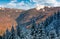 Snowy conifer forest in mountains