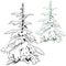 Snowy Coniferous Tree