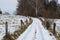 Snowy country road