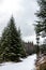 Snowy crossroads in the middle of the winter forest