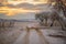 Snowy curvy path with two tracks through the vineyards at sunset. White vineyards with cloudy orange sky. Calming evening mood in