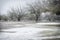 Snowy day in park with mesquite trees in Arizona