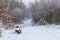 Snowy dirt road. There are shrubs and trees on the sides. Wooden bench on which is snow