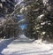 Snowy Dirt Road in Vermont