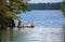 Snowy egret and cypress tree