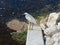 Snowy Egret Ding Darling Wildlife Refuge Sanibel Florida