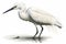 Snowy Egret - Egretta thula in front of a white background AI generated animal ai