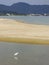 Snowy egret at Ponta das Canas beach in Florianopolis, Brazil