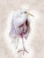 Snowy Egret - water color illustration