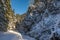 Snowy empty road in the coniferous forest in Sunny winter day