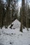 Snowy Enigma: Wooden Pyramid Amidst Pokainu Mezs\\\' Forest Veil, Dobele, Latvija