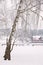 Snowy farm landscape