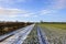 Snowy farm road with hedgerow