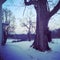 Snowy farm scene in Cincinnati Ohio