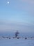 Snowy field with bales of hay and a lone tree at dusk with moon in the sky