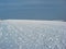 Snowy field. Full frame of grass stems sprayed with snow