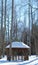 Snowy Field with a Gazebo