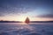 snowy field with a gleaming, lit-up christmas tree in the center