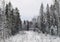 Snowy fir trees by the snowy white forest on cloudy day after snowfall. Road through the winter forest