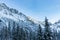 Snowy fir trees in winter forest background. Winter landscape of mountains. iew of snow spruces on a frosty day in Poland