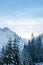 Snowy fir trees in winter forest background. Winter landscape of mountains. iew of snow spruces on a frosty day in Poland