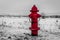 Snowy fire hydrant