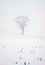 Snowy Foggy Day and a Lonely Tree