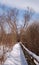 A snowy foot bridge in the woods