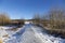 Snowy Footpath Hiking Trail Nose Hill Urban Park Calgary Alberta Foothills Barren Aspen Forest Trees Countryside