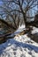 Snowy footpath through trees and trunks. Small creek runs alongside