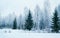 Snowy forest at countryside winter Rovaniemi Lapland reflex
