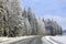 Snowy Forest by Empty Main Road