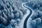 Snowy forest landscape aerial perspective of curvy, winding road