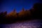 Snowy forest at night with starred sky