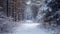 A snowy forest path glows under a twilight sky, flanked by trees dusted with a delicate frost.