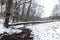 Snowy forest with a river running through the middle in winter