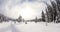 Snowy forest seen from piste