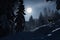 snowy forest, with the silhouette of a wolf visible against the moonlit sky