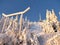 Snowy frosted trees and cable car.