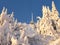 Snowy frosted trees and cable car.