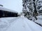 Snowy frozen road