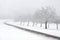 Snowy fruit trees with fog