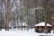 Snowy Gazebo in the Park