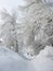 Snowy harsh winter in the city of Saratov, ice drifts