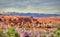 Snowy High Atlas Mountains above Kalaat M`Gouna town in Morocco