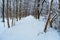 Snowy Hiking Trail Winter